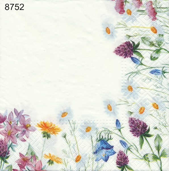 Bård med sommarblommor