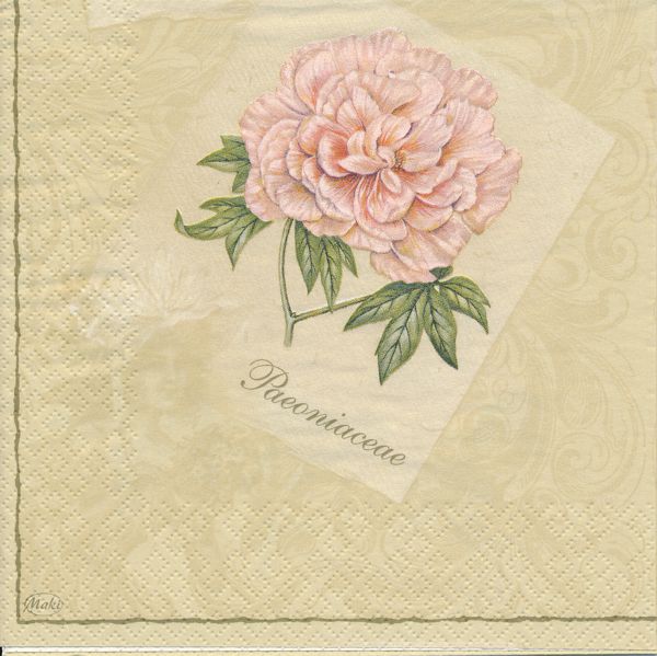 Rosa pion 2 olika motiv  - 2
