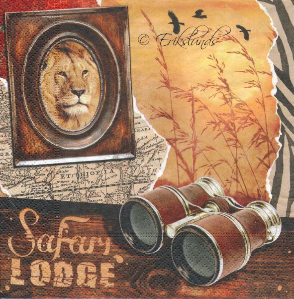 Safari