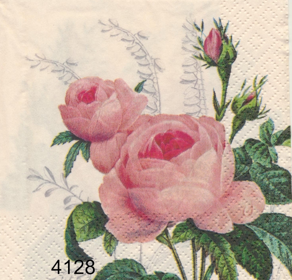 Rosa ros 