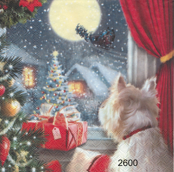 Hund väntar på julen 