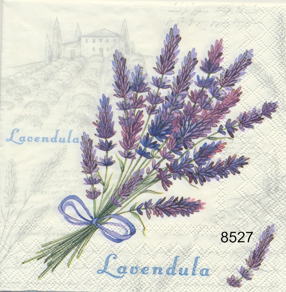 Lavendula  