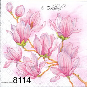 Magnolia