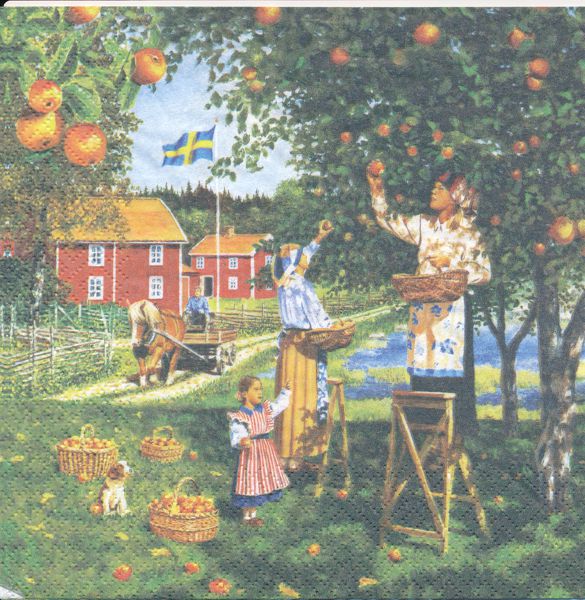 Äppelplockning