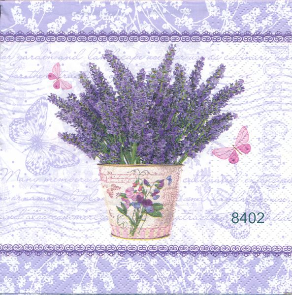 Lavendel