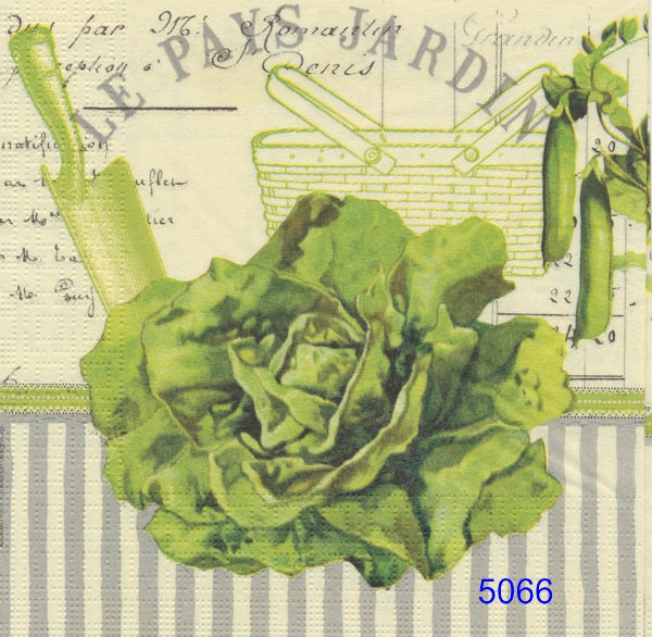 Sallad