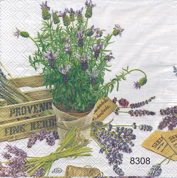 Lavendel