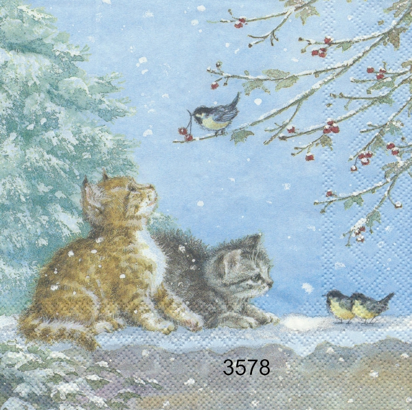 Kattungar i snö