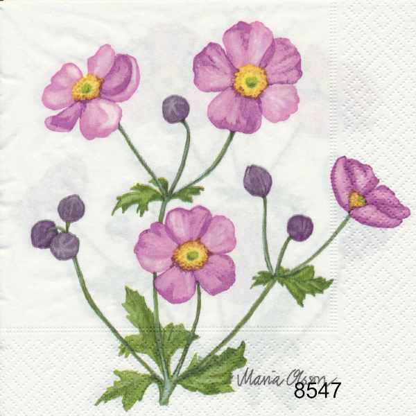 Anemoner 