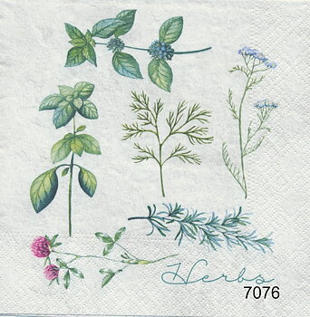 Herbs/örter