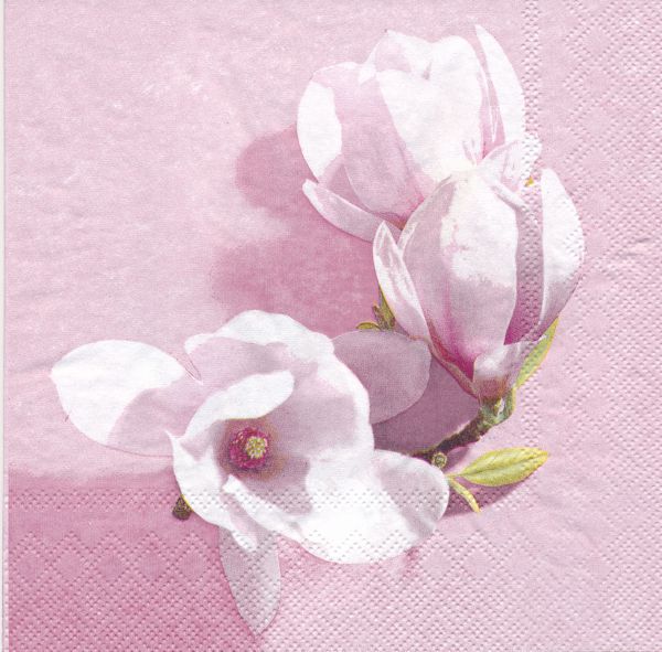 Magnolia (2 olika motiv)  - 2