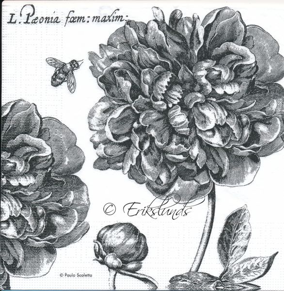 Svarta blommor
