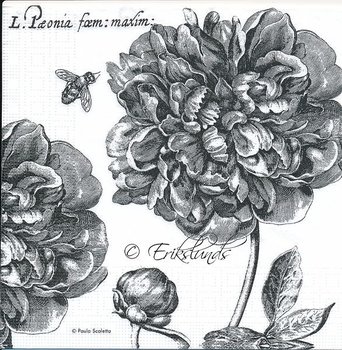 Svarta blommor