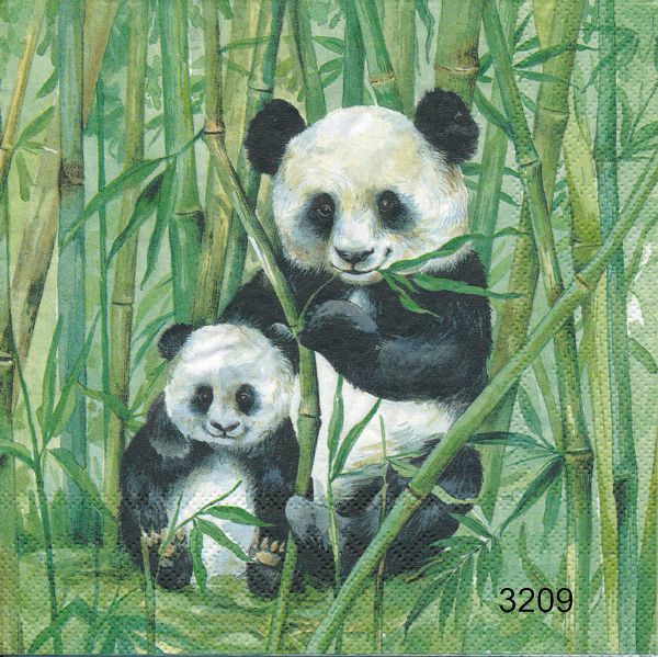 Pandor (olika motiv)