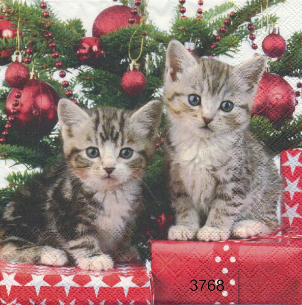 Julkatter 