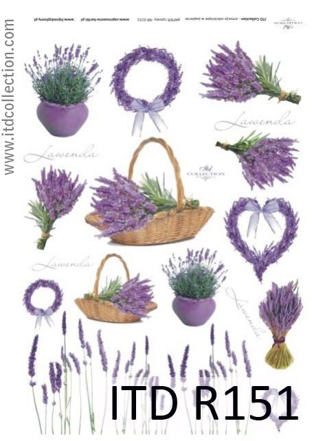 Lavendel