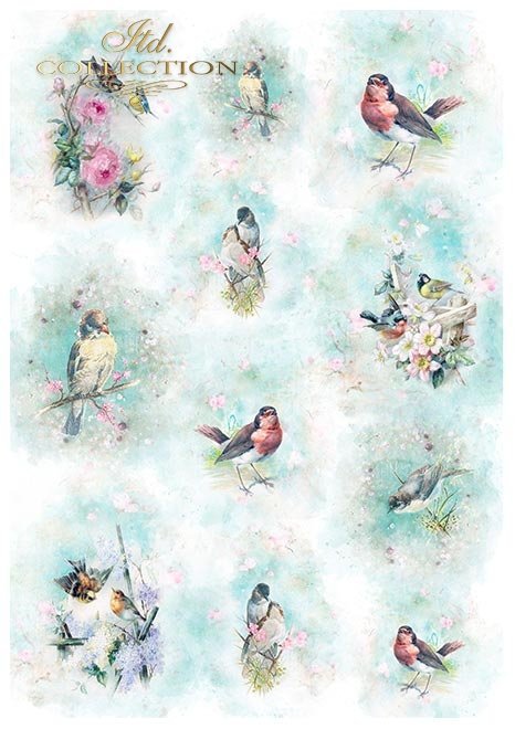  Scrapbooking papers SCRAP-054 ''Shabby Chic for Spring'' - 6