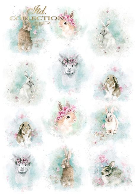  Scrapbooking papers SCRAP-054 ''Shabby Chic for Spring'' - 3