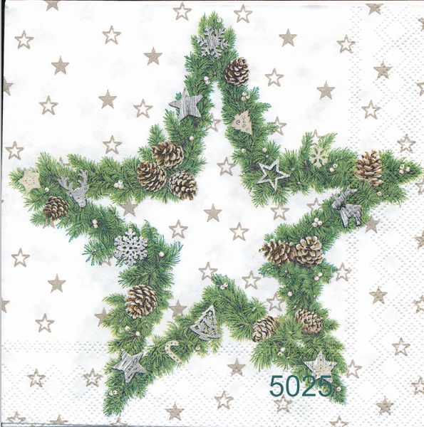 Julstjärna igrönt med pynt 
