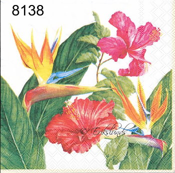 Exotiska blommor 
