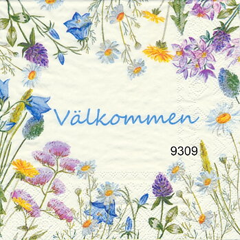 Välkommen med sommarblommor runt om   kaf3043