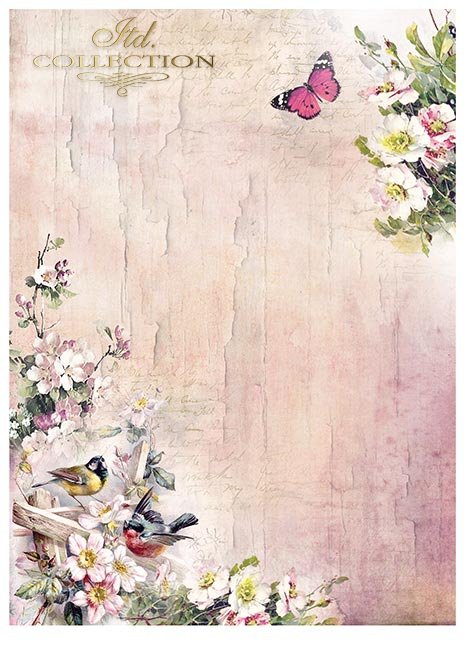 Scrapbooking papers SCRAP-045 ''Rosy summertime'' - 5