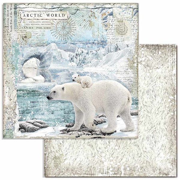 Paper Pack Stamperia - Arctic Antarctic - 12x12 Tum  SBBL77 - 2