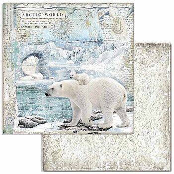 Paper Pack Stamperia - Arctic Antarctic - 12x12 Tum  SBBL77