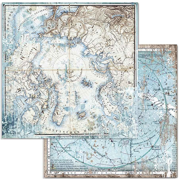 Paper Pack Stamperia - Arctic Antarctic - 12x12 Tum  SBBL77 - 5