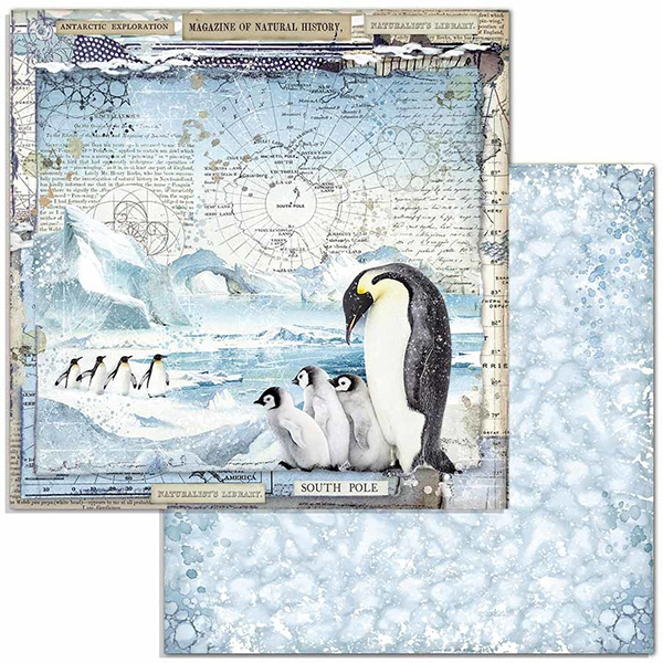Paper Pack Stamperia - Arctic Antarctic - 12x12 Tum  SBBL77 - 7