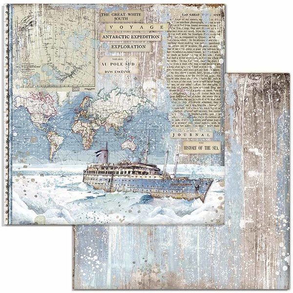 Paper Pack Stamperia - Arctic Antarctic - 12x12 Tum  SBBL77 - 9