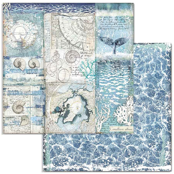 Paper Pack Stamperia - Arctic Antarctic - 12x12 Tum  SBBL77 - 6