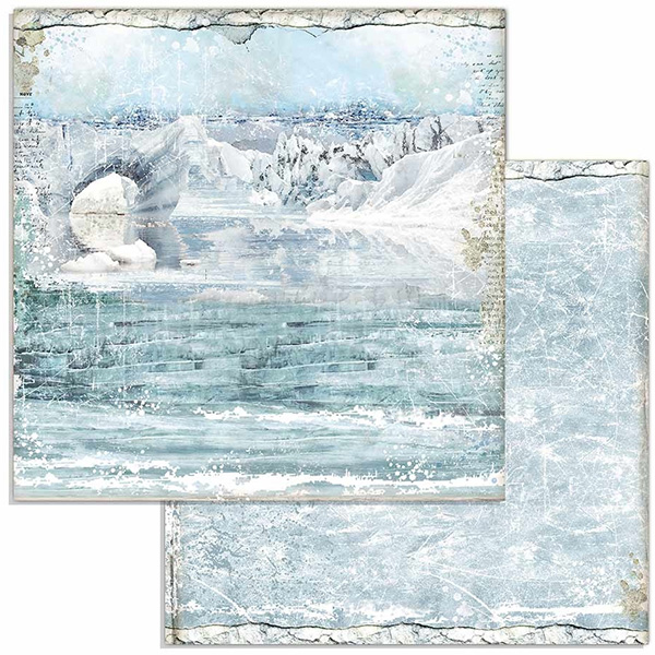 Paper Pack Stamperia - Arctic Antarctic - 12x12 Tum  SBBL77 - 3
