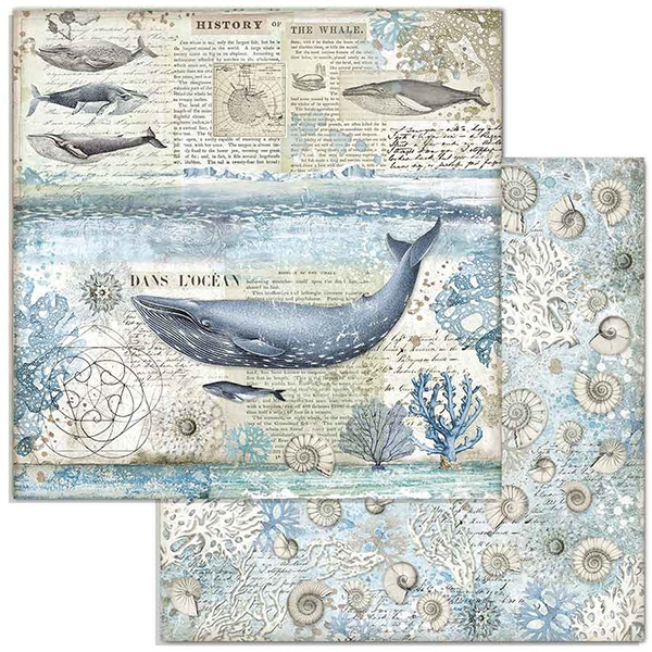 Paper Pack Stamperia - Arctic Antarctic - 12x12 Tum  SBBL77 - 4