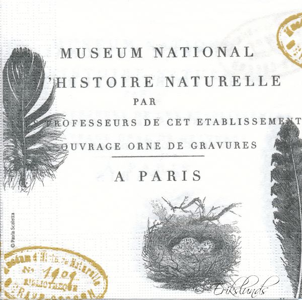 Museum National 
