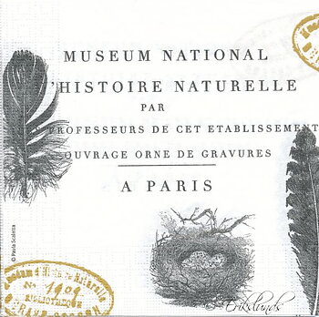 Museum National 