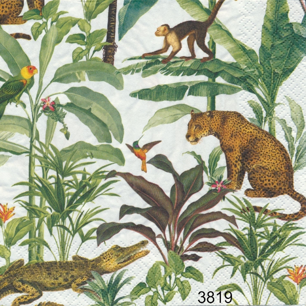 Tropical zoo