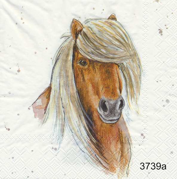 Liten häst (olika motiv)