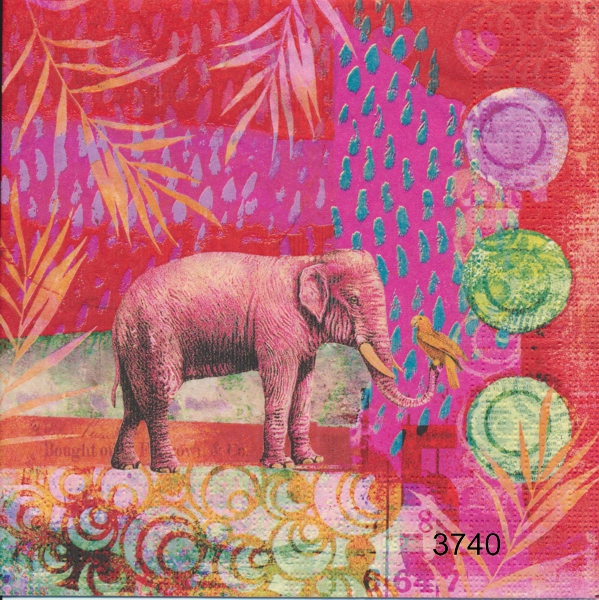 Indisk elefant 