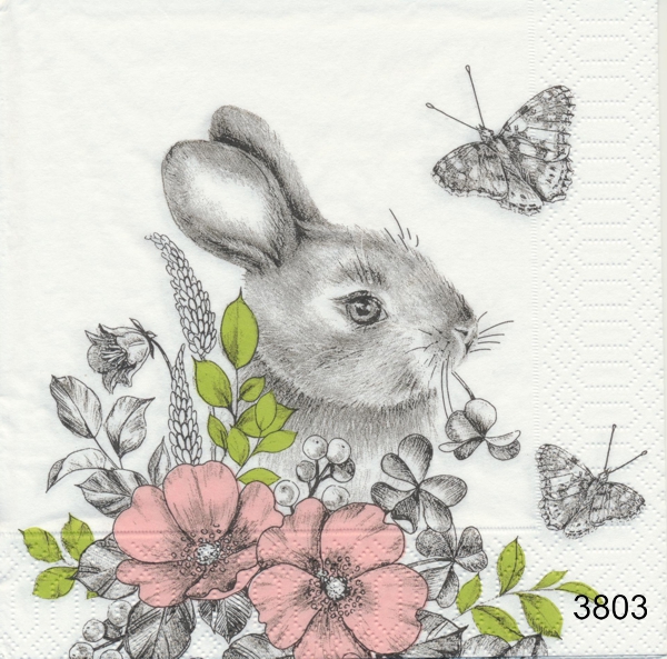 Gullig hare