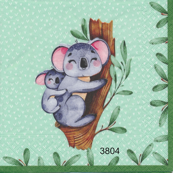 Koala