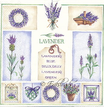 Lavendel   