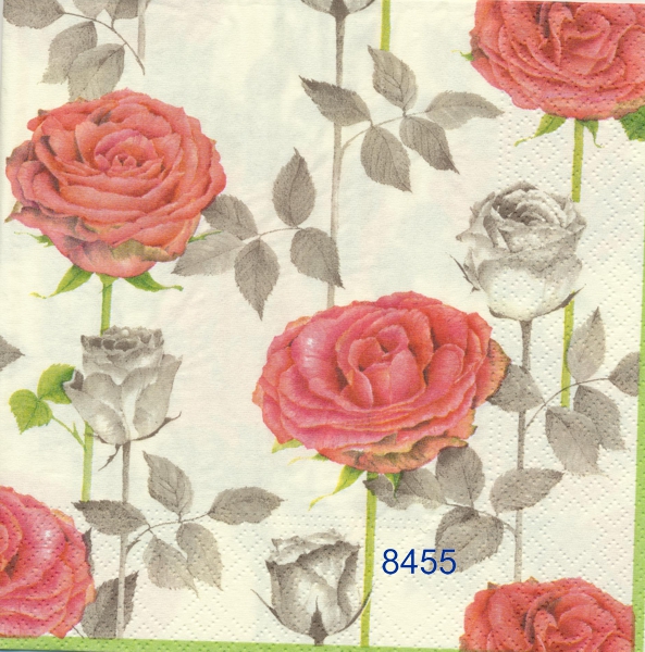 Rosor 