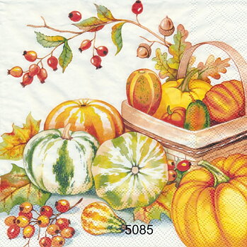 Pumpor 