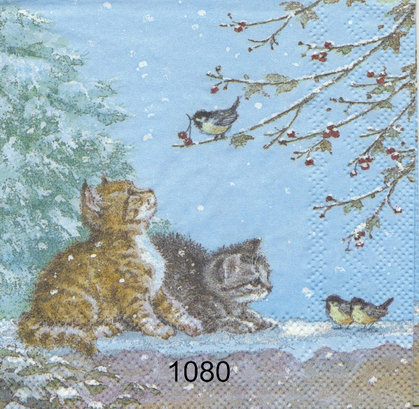 Kattungar i snö