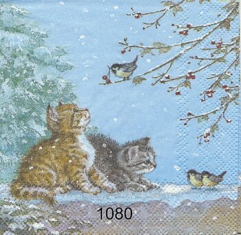 Kattungar i snö