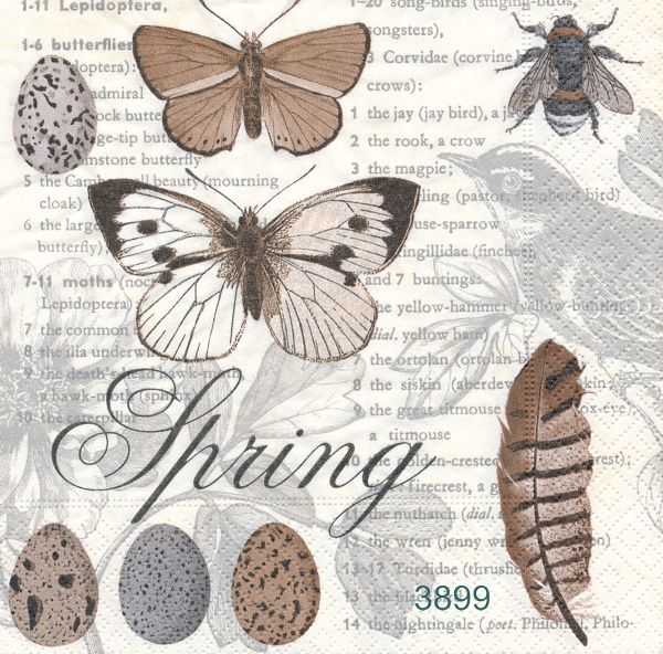 Spring 