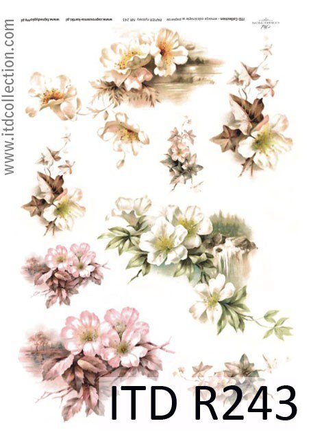 Blommor