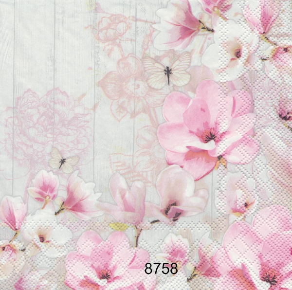 Magnolia 