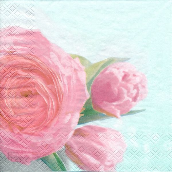 Rosa blomma
